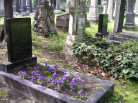 02-11 Gyagyovszky Emil